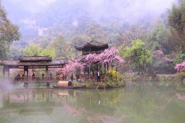 逃离违建房屋7