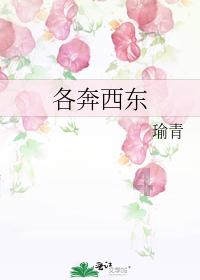 月光影视