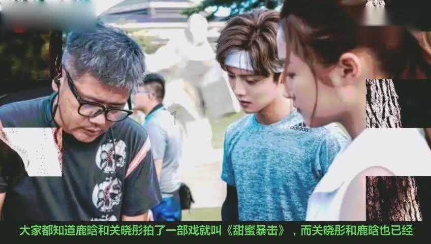 组装机械恐龙3