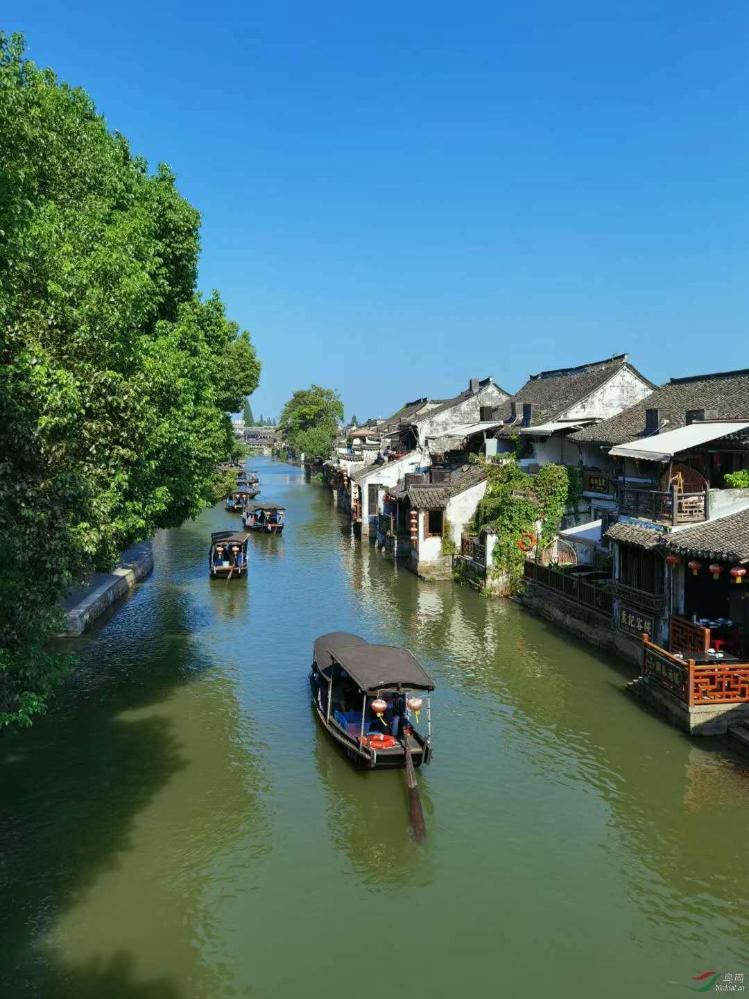 洪潮之焰